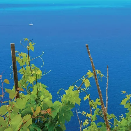 Two-bedroom In Hodilje * Hodilje