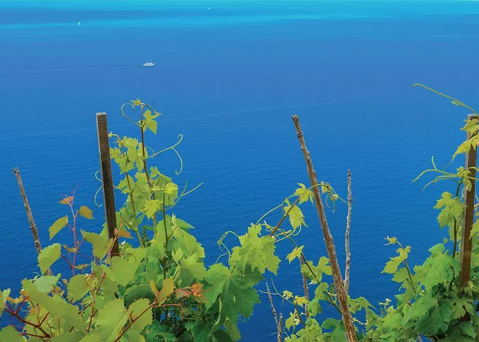 Two-bedroom In * Hodilje